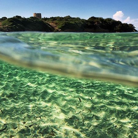 Gli Asfodeli Aglientu Bagian luar foto