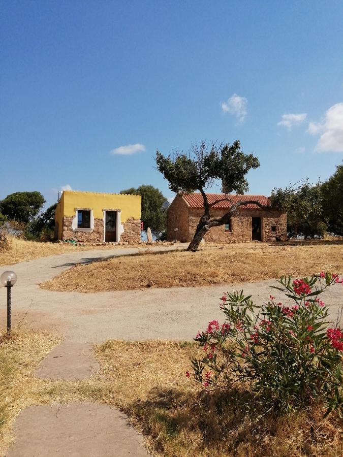 Gli Asfodeli Aglientu Bagian luar foto